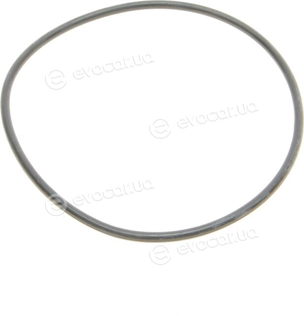 Blue Print ADG02389