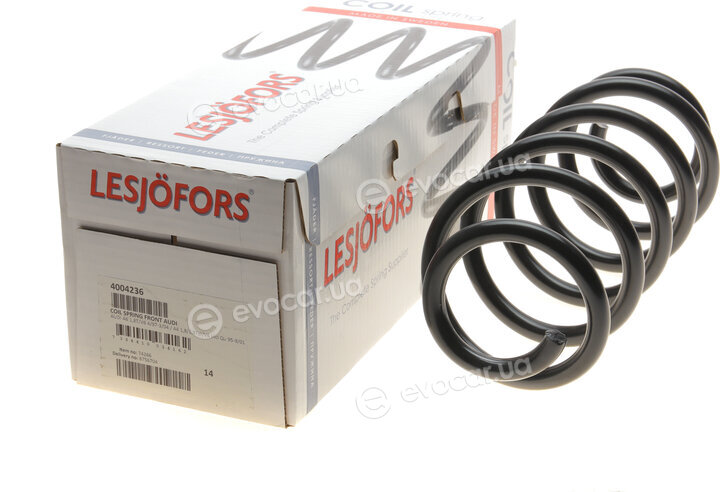 Lesjofors 4004236
