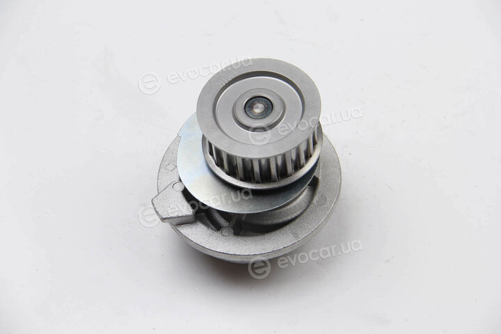 Dolz O118