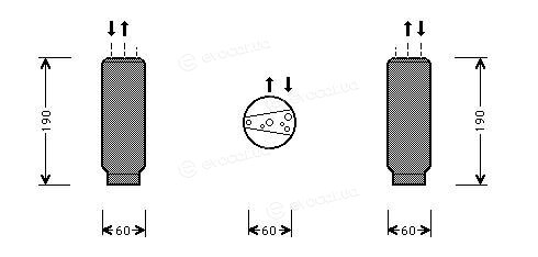 Starline DK V0010