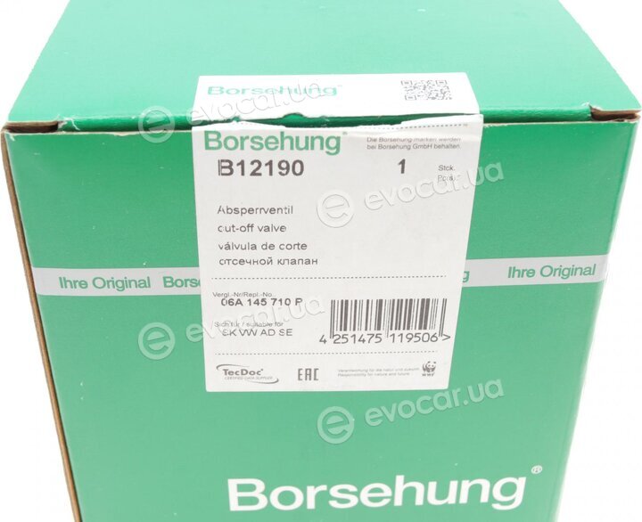 Borsehung B12190