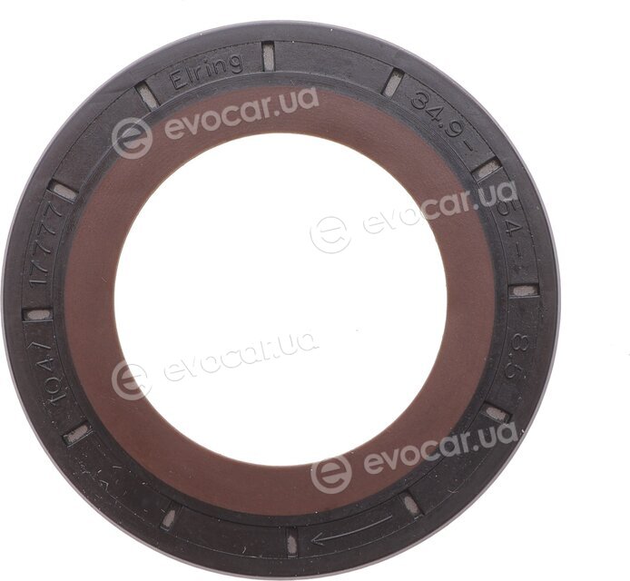 Elring 381.710