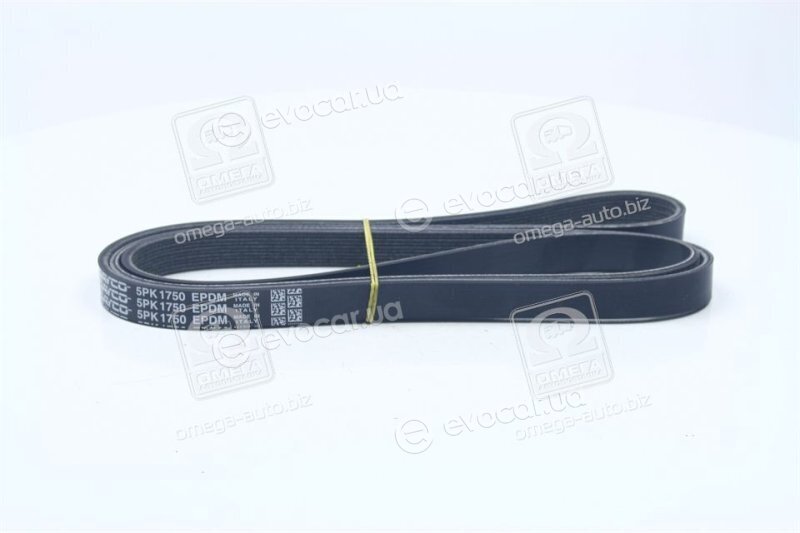 Dayco 5PK1750