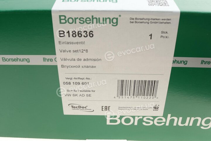 Borsehung B18636