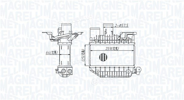 Magneti Marelli 351319205310