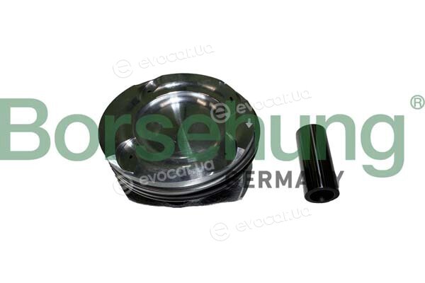 Borsehung B11142