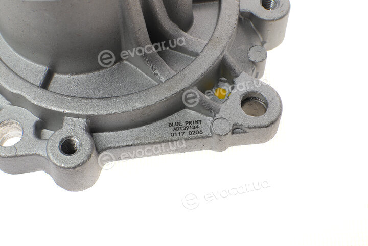 Blue Print ADT39134