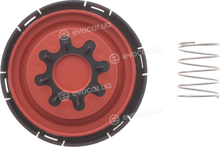 Solgy 124032
