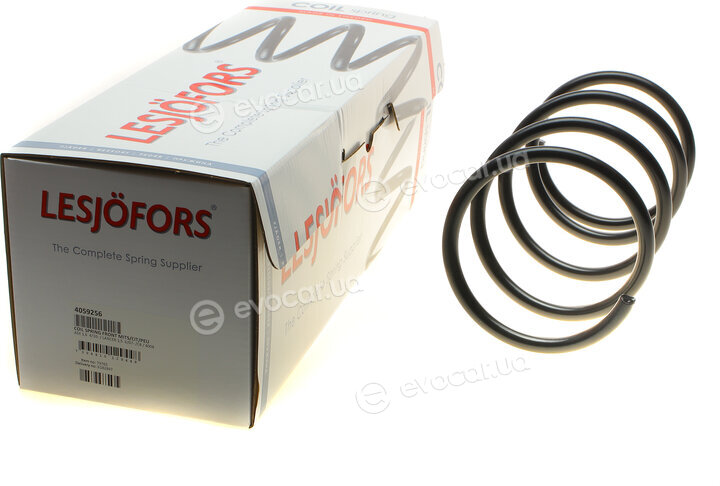 Lesjofors 4059256