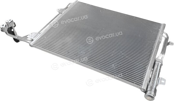 Van Wezel 58005324