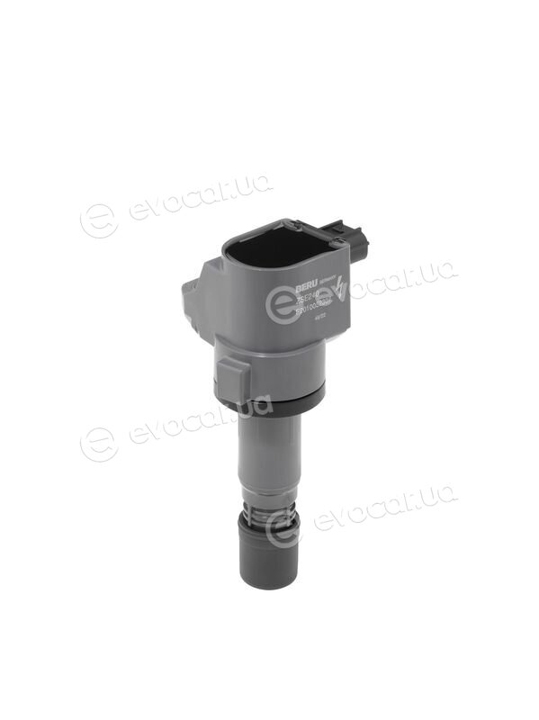 BorgWarner ZSE240