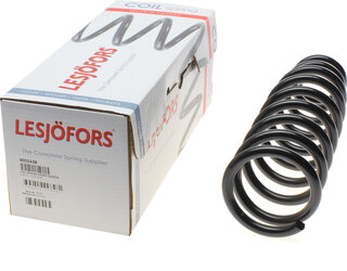 Lesjofors 4055438