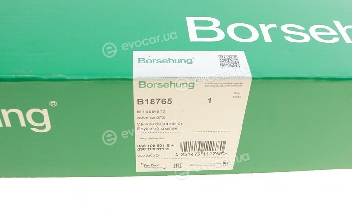 Borsehung B18765