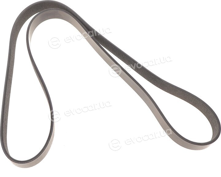 Dayco 7PK1377S