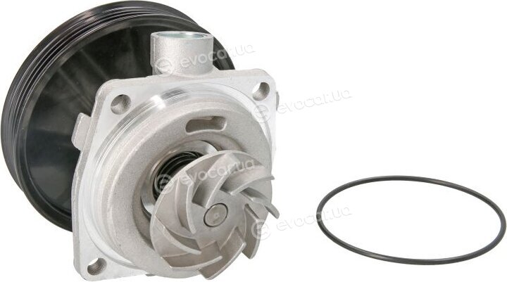 Thermotec D1F065TT