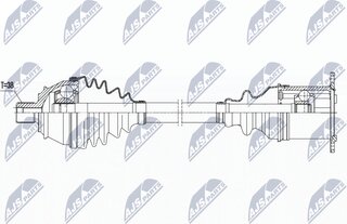 NTY NPW-AU-021