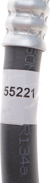 AIC 55221