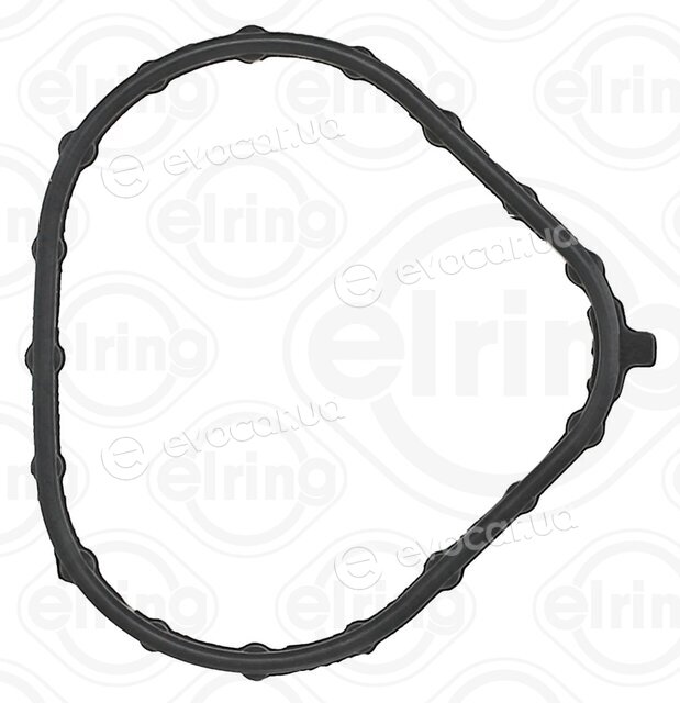 Elring 206.310