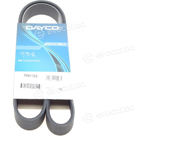 Dayco 7PK1103