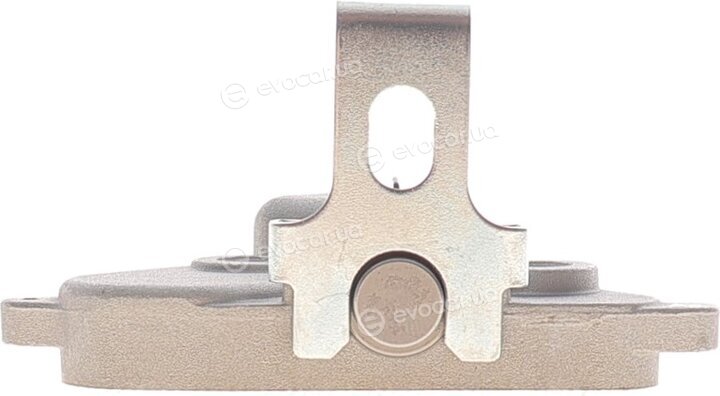 Motive TCK318