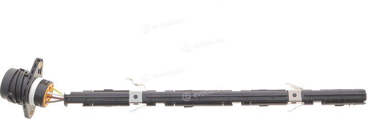 Solgy 412012