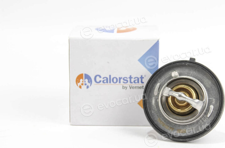 Vernet / Calorstat TH7310.77J