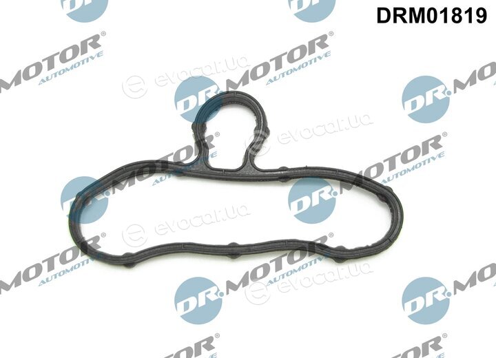 Dr. Motor DRM01819