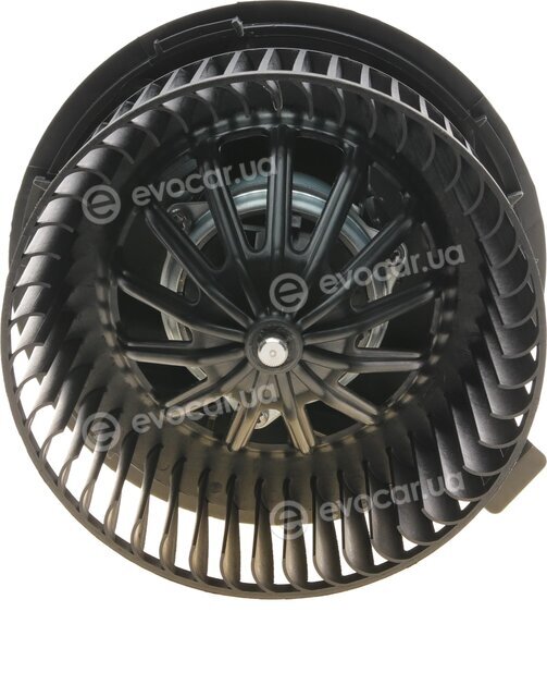 AIC 56118