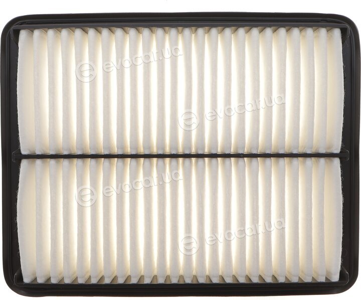 Solgy 103175