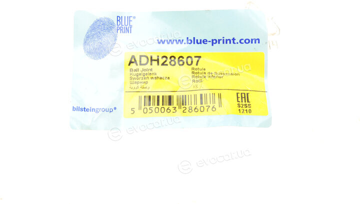 Blue Print ADH28607