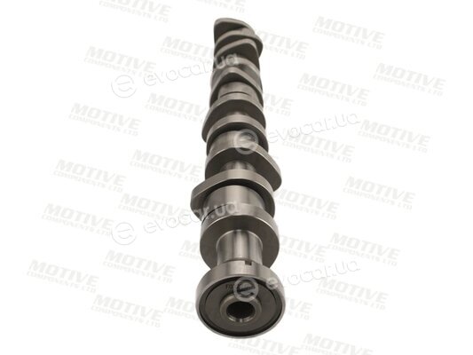 Motive T067A