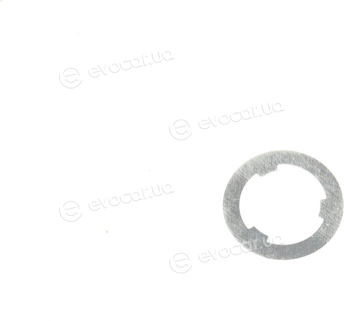 Borsehung B16296