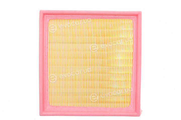 Solgy 103124