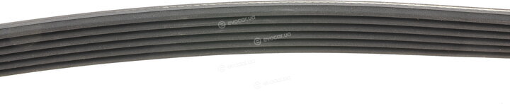 Continental 6PK1125