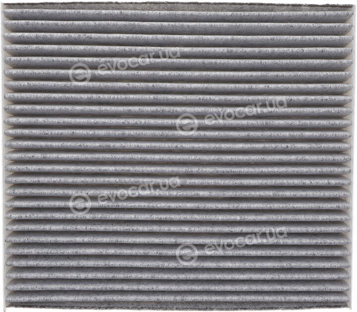 Solgy 104134