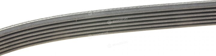 Continental 6PK2870