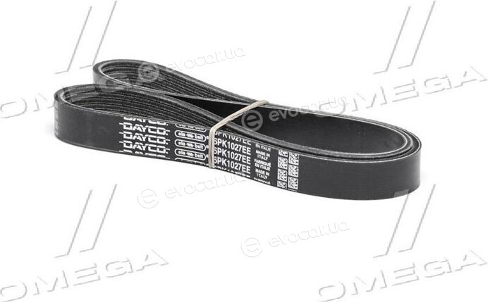 Dayco 6PK1027EE