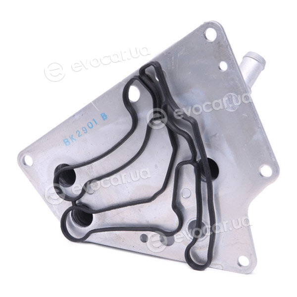 Ridex 469O0080