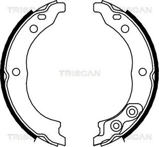 Triscan 8100 10010
