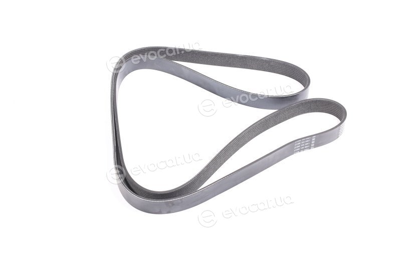 Dayco 8PK2160HD