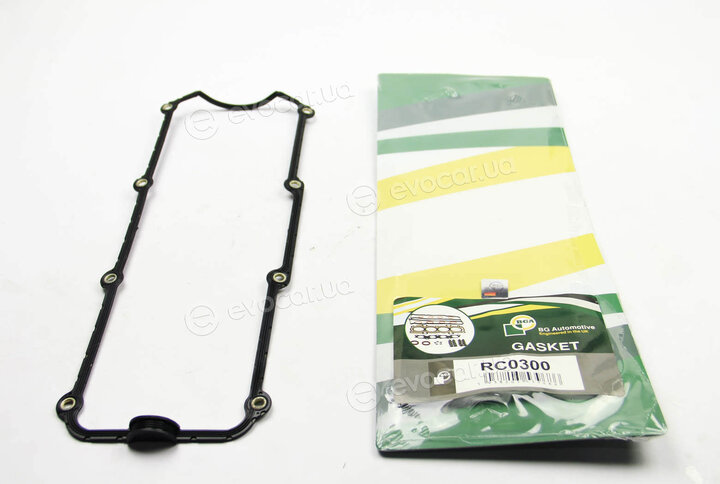 BGA RC0300