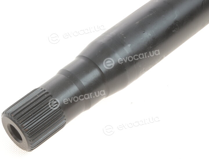 Solgy 216006
