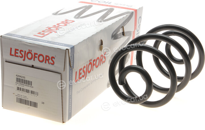 Lesjofors 4204225