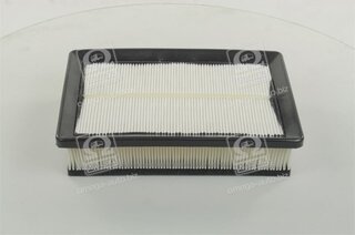 Champion CAF100564P