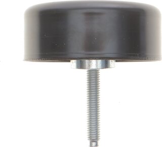 Dayco APV2874