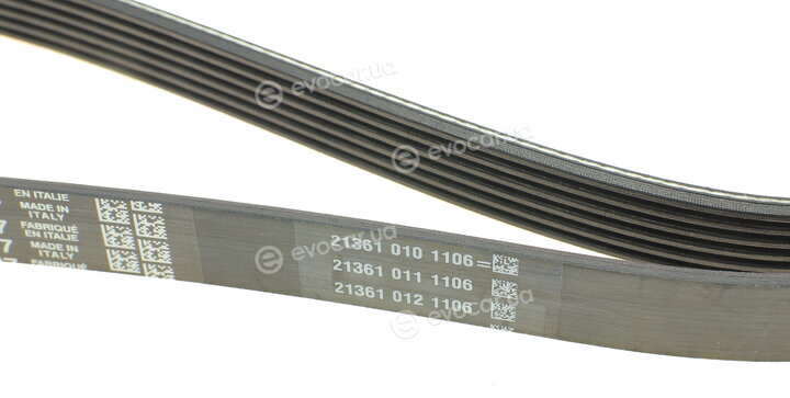 Dayco 6PK1437