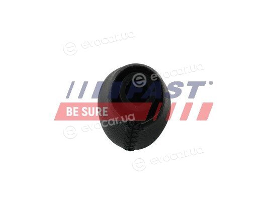 Fast FT09038