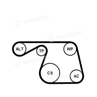 Continental 6PK1310K1