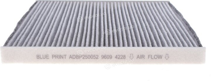 Blue Print ADBP250052