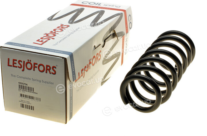 Lesjofors 4235756